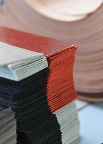 Pelletteria Z3 Mission