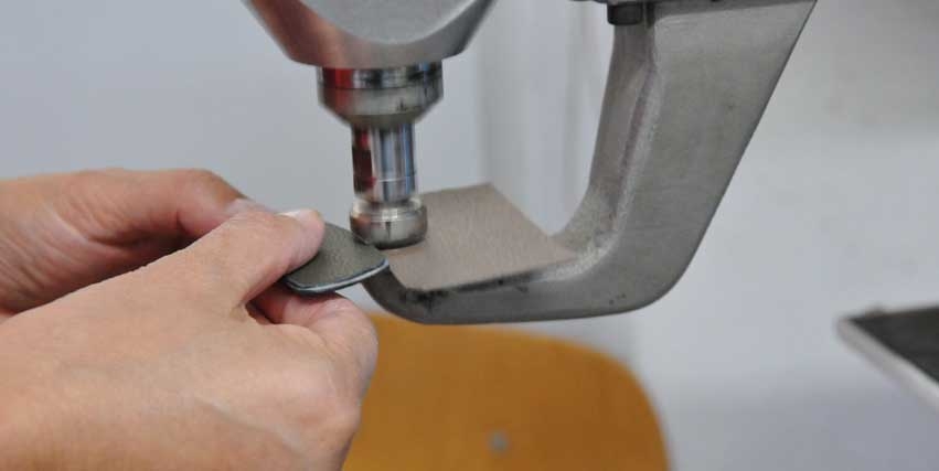 Pelletteria Z3 Mission