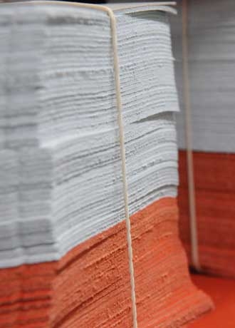 Pelletteria Z3 Il Presente